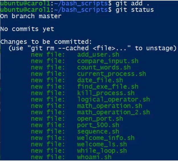 Image of git commands.